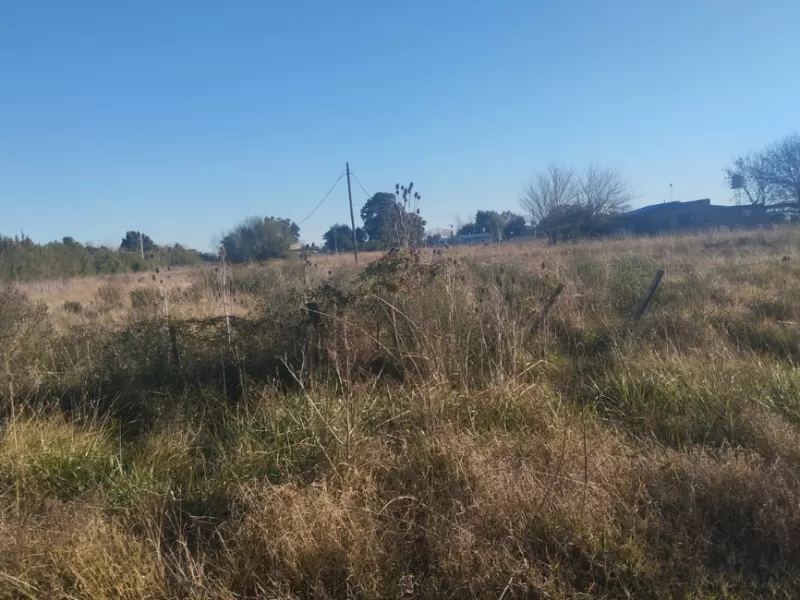 Coronel Brandsen: herederos piden ayuda ante nuevas amenazas por tierras familiares