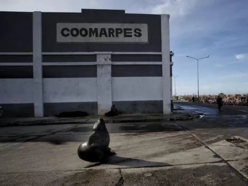 La Justicia recibe otra denuncia explosiva por contaminaci&oacute;n y riesgos operativos