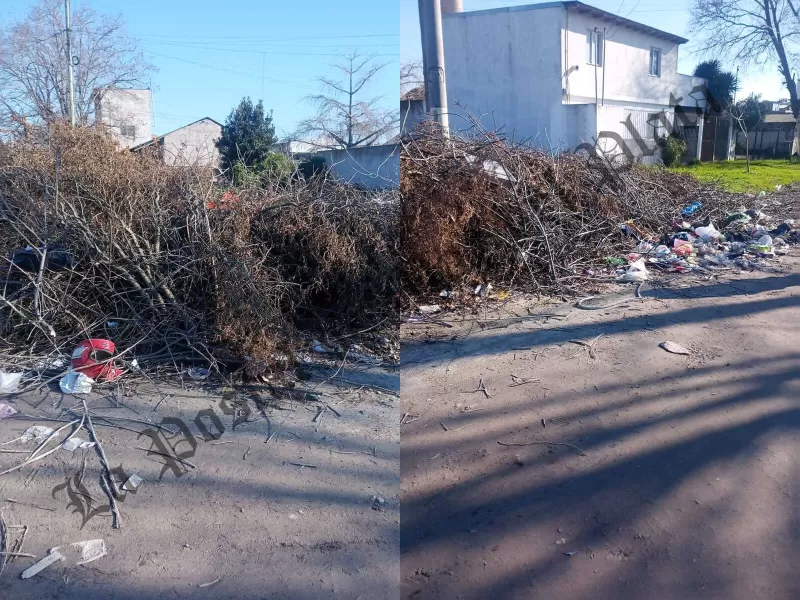 Basurales a cielo abierto en Mar del Plata: vecinos exigen limpieza y respuestas al EMSUr