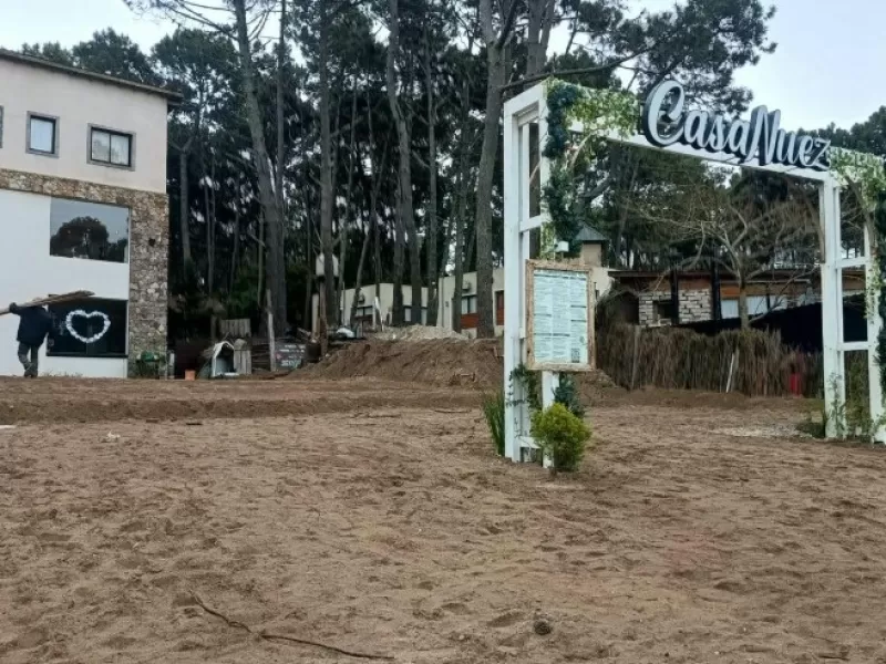 Villa Gesell: Luis Vivas puso bajo la lupa la extracci&oacute;n de &aacute;rboles frente al comercio de Clarisa Armando