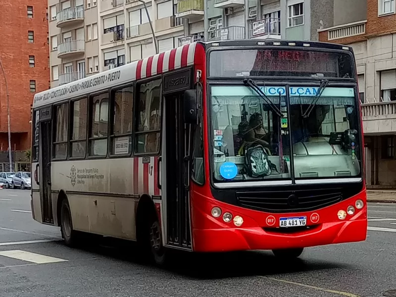 La oposición marplatense propuso la creación de una app para habilitaciones de transportes de carga y pasajeros