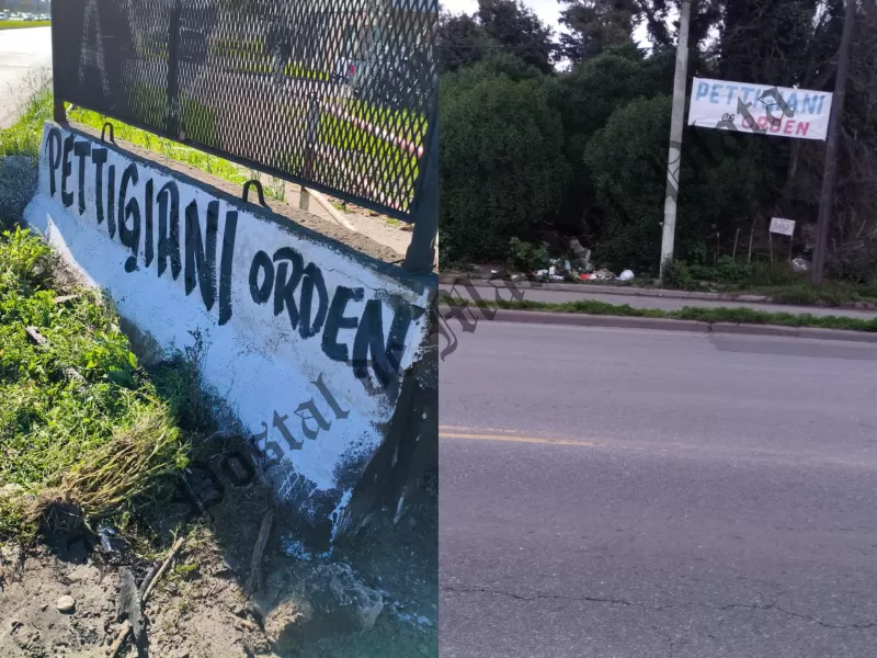 Pettigiani, entre carteles y pintadas: una campaña inesperada que lo instala en la discusión por Mar del Plata 2027