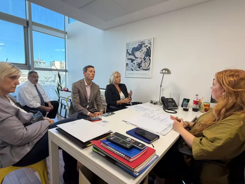 Radicales marplatenses impulsan cambios en la Ley de Salud Mental tras reuni&oacute;n con Karina Banfi