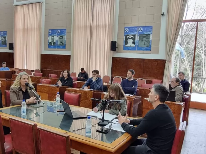 Mar del Plata: nueva convocatoria a la Comisión de Salud Comunitaria y Desarrollo Humano, con invitados