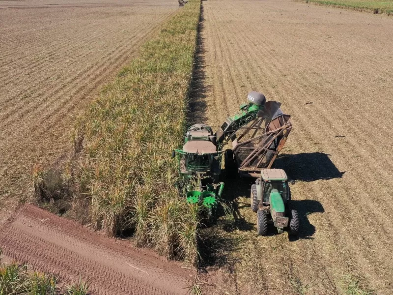 Buenas expectativas para el agro argentino: se vislumbra un primer trimestre prometedor
