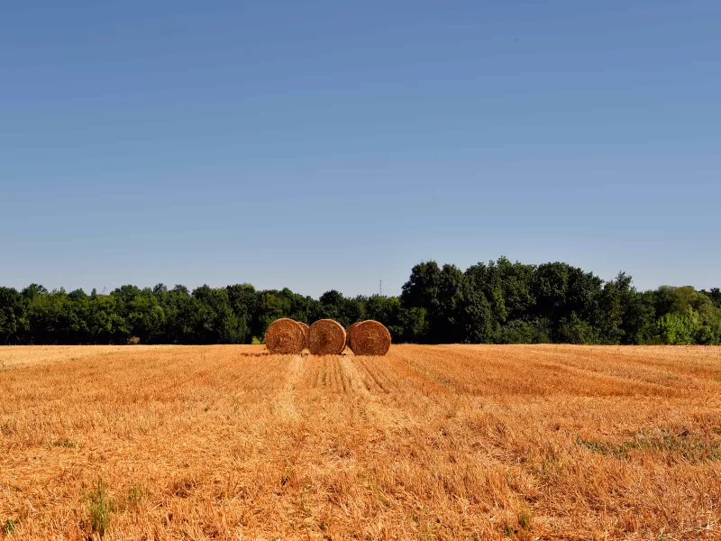 Nuevos actores en el agro: la inversión urbana migra al campo