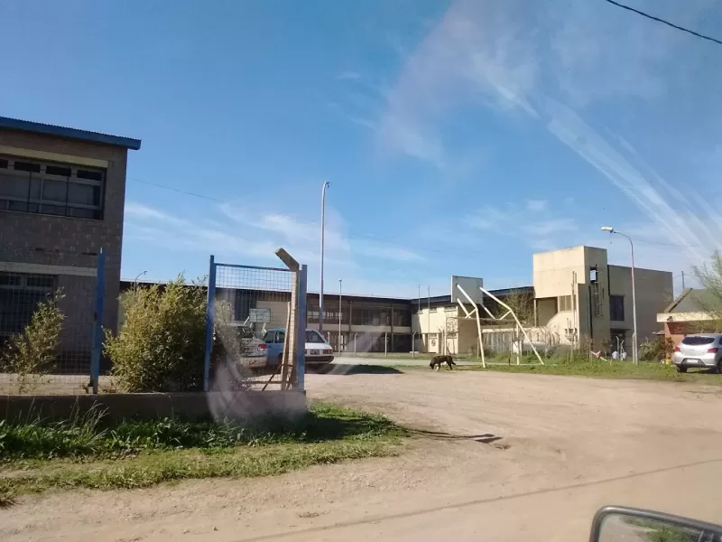 Mónica Lence propuso transformar la Secundaria 12 de Mar del Plata en un centro de contención tras una ola de robos e inseguridad