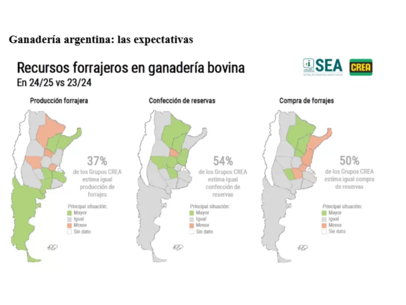 Expectativas favorables para el negocio ganadero y lechero, aunque los precios generan dudas
