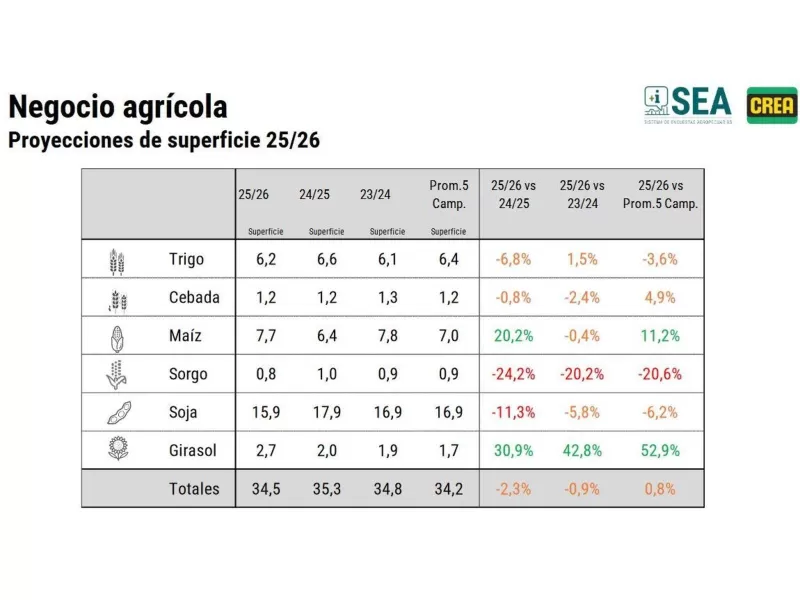 Soja en retroceso: más de 2 millones de hectáreas fuera del mapa agrícola 2025/26