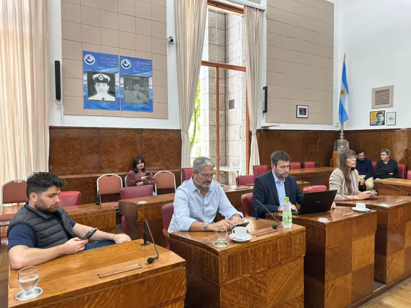 Seguridad: proponen en Mar del Playa un proyecto para centros comerciales