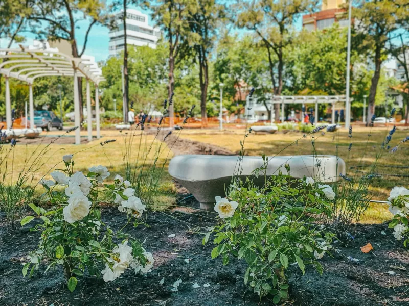 Reyes Magos, música y un rediseño histórico de General Pueyrredon: Plaza Mitre celebra su reapertura