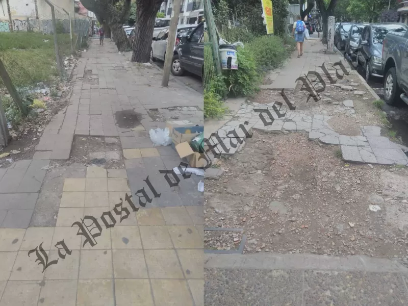 ¡Mar del Plata se cae a pedazos y nadie se hace cargo!