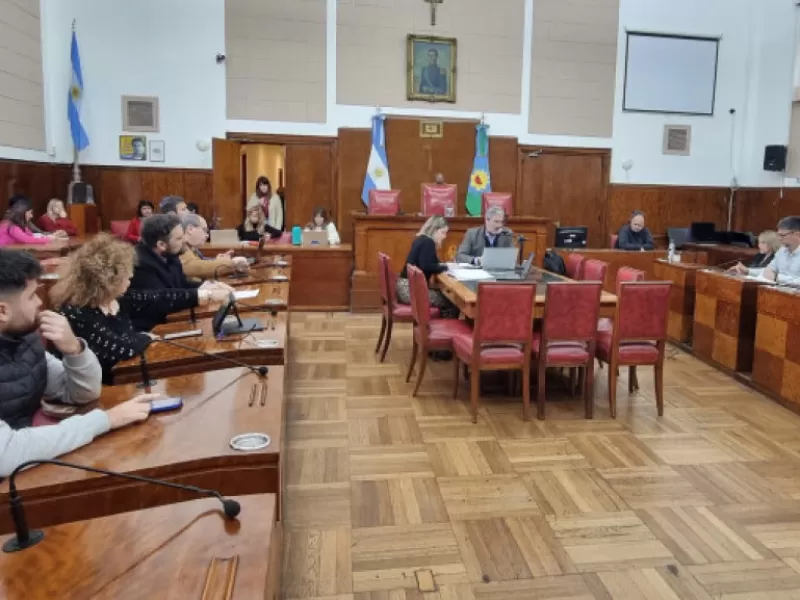 Movilidad Urbana: abrió la semana legislativa marplatense