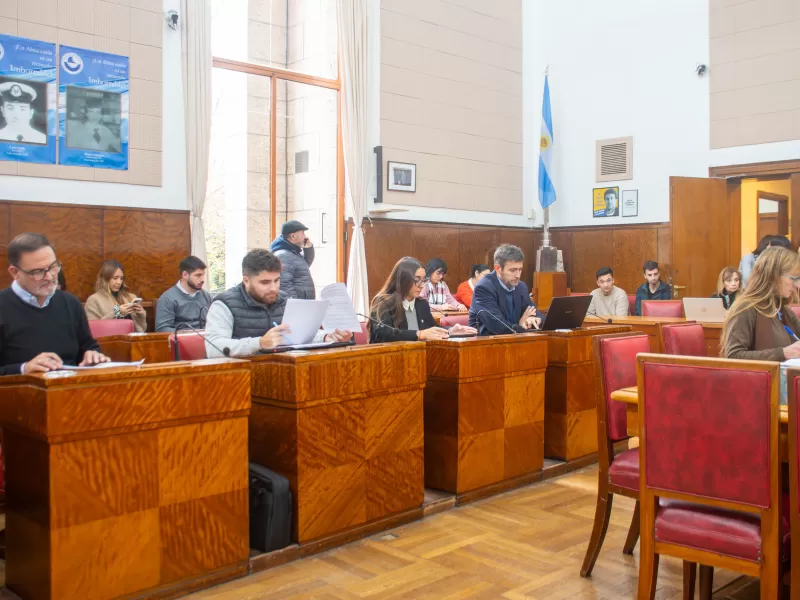 Seguridad: varias consultas por la coyuntura en los barrios marplatenses