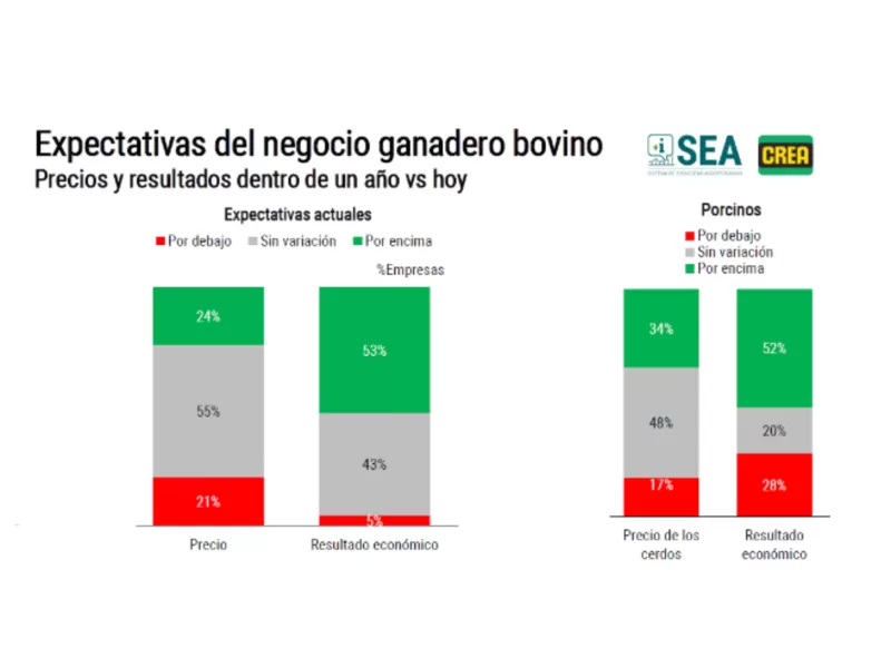 Expectativas favorables para el negocio ganadero y lechero, aunque los precios generan dudas