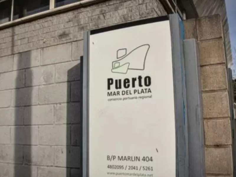 El puerto acumula denuncias ambientales y ahora cuestionan la falta de medidas en plantas harineras