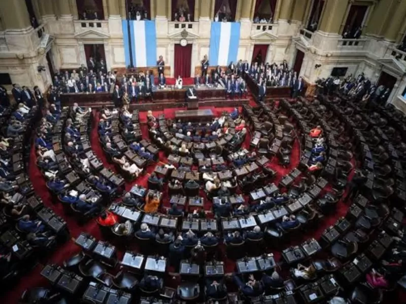 PRO, UCR y otros bloques trabajan en una ley para reemplazar la emergencia en discapacidad por un sistema permanente