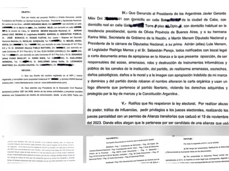 Dirigente de Entre Ríos denunció a Milei por supuesta "estafa y apropiación del nombre La Libertad Avanza"