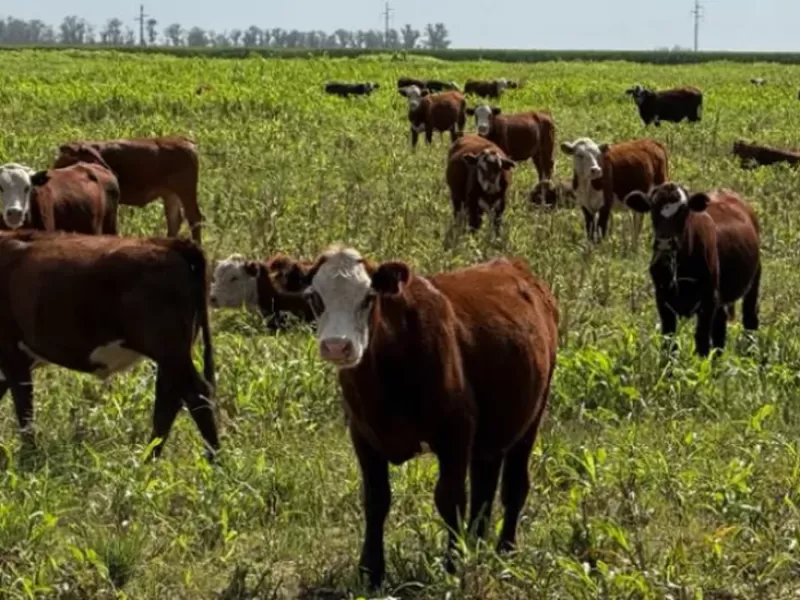Ganader&iacute;a Posible se present&oacute; en Expoagro: m&aacute;s producci&oacute;n con mejor gesti&oacute;n econ&oacute;mica y ambiental