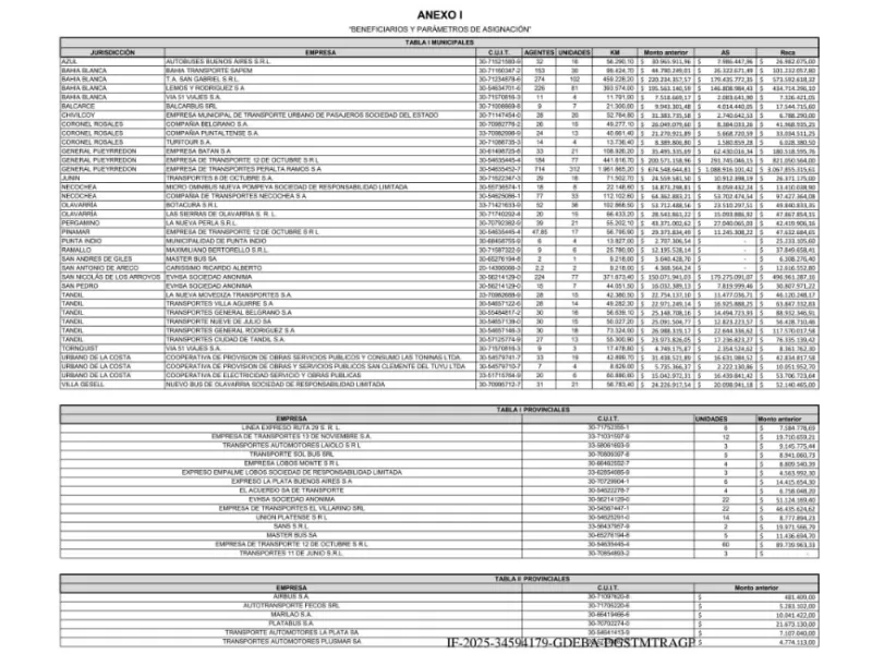 Villa Gesell: más de 70 millones de pesos en aportes estatales al transporte y las quejas no paran