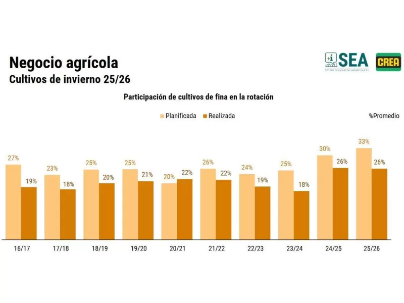 Soja en retroceso: más de 2 millones de hectáreas fuera del mapa agrícola 2025/26