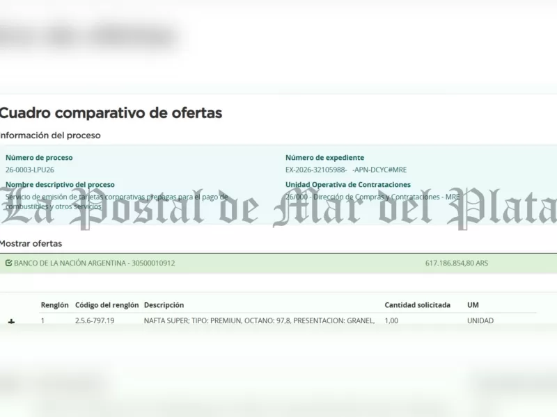 A pesar del ajuste, el Gobierno sostiene gastos millonarios para mantener veh&iacute;culos oficiales