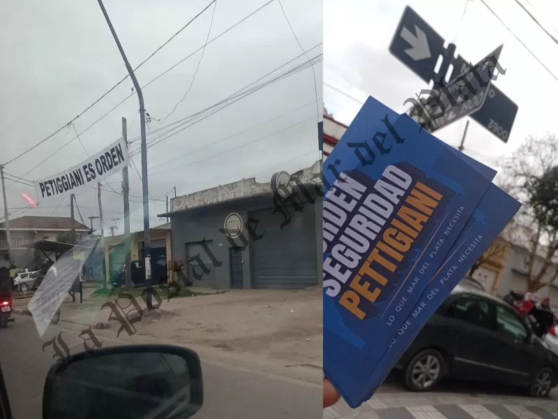 Pettigiani, entre carteles y pintadas: una campaña inesperada que lo instala en la discusión por Mar del Plata 2027