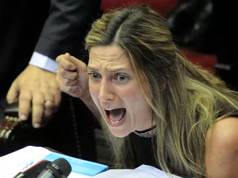 "Dijo una cosa y vot&oacute; otra": la bronca interna del PRO tras la jugada de Lospennato