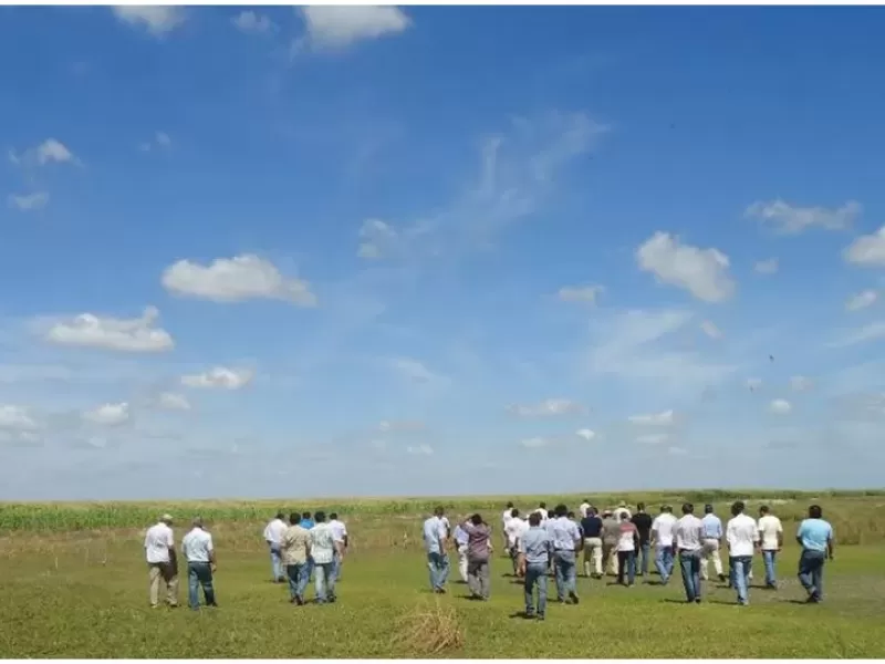 El impacto en el agro del nuevo esquema cambiario