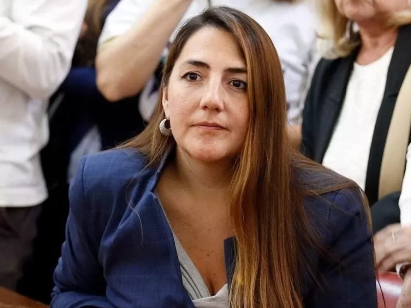 Un proyecto de Ranellucci anticipa un choque fuerte en el Concejo Deliberante marplatense