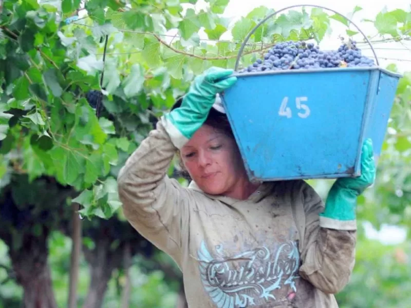 Se avanzó con la visualización de las mujeres de la industria del vino
