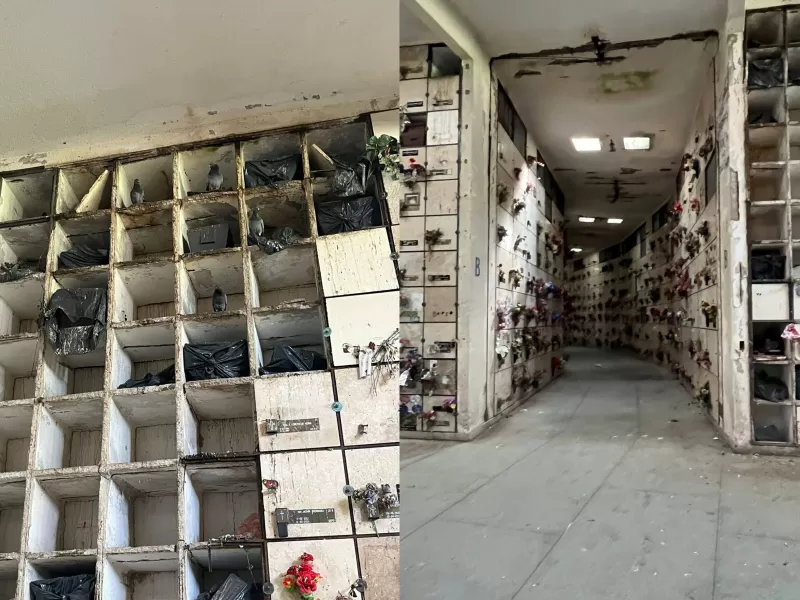 Vecinos denuncian el abandono total del Cementerio Parque de Mar del Plata