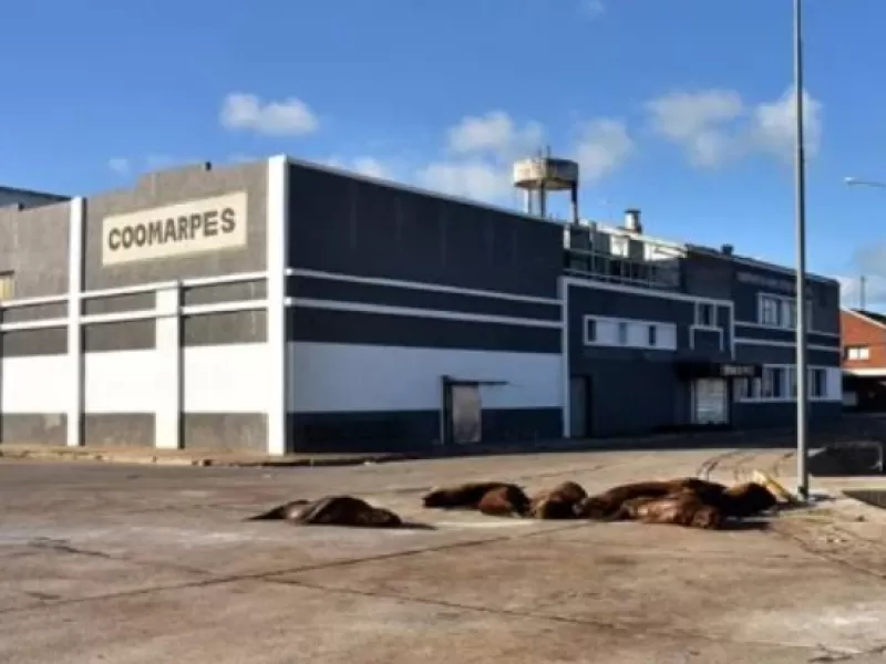Mar del Plata enfrenta otra vez el fantasma de la contaminaci&oacute;n y una denuncia que compromete a Inchausti