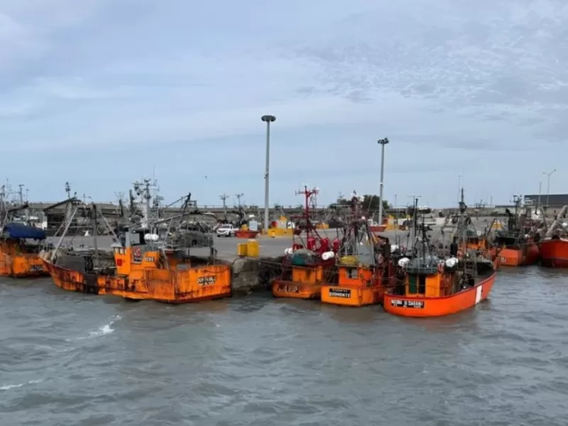 Baragiola alert&oacute; por la crisis de la flota fresquera y pidi&oacute; medidas urgentes