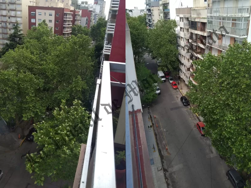 Vecinos denuncian la falta de gestión del EMSUr y apuntan a Santiago Bonifatti por el abandono del arbolado urbano en Mar del Plata