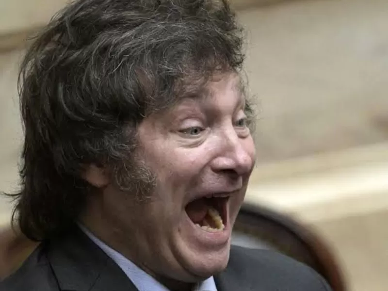 Milei ya piensa en 2027: los 4 nombres que pelean por ser su vice