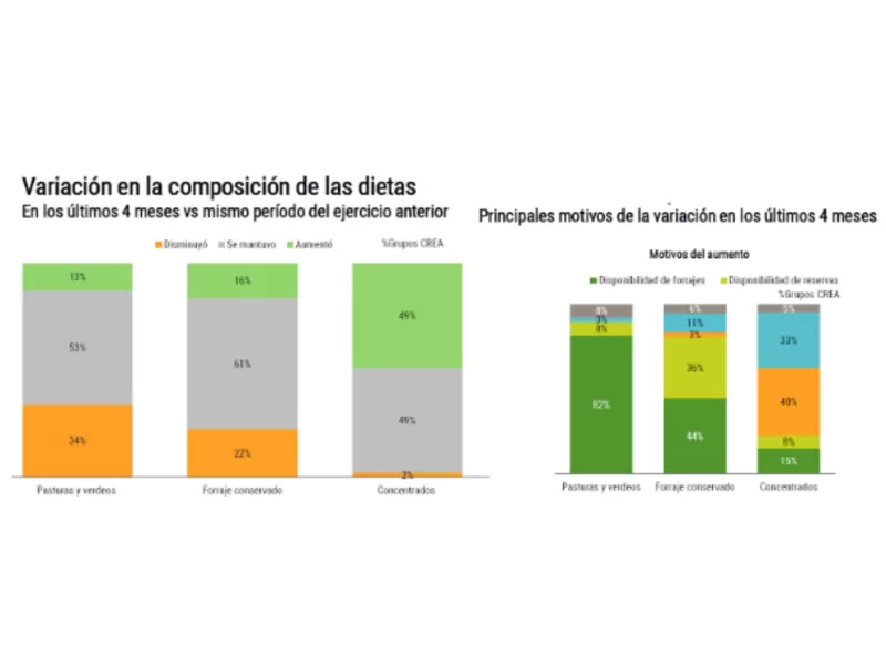 Expectativas favorables para el negocio ganadero y lechero, aunque los precios generan dudas