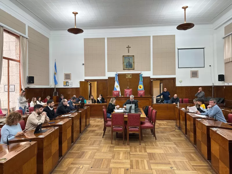 Movilidad abrió la semana marplatense en el ámbito de las comisiones internas del HCD