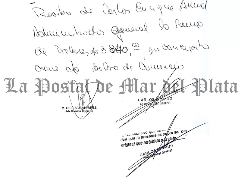 Mar del Plata: se profundiza el caso por