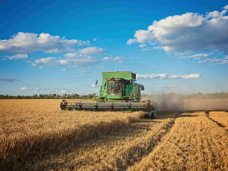 Panorama alentador: el blanqueo de capitales está favoreciendo la venta de campos y propiedades rurales