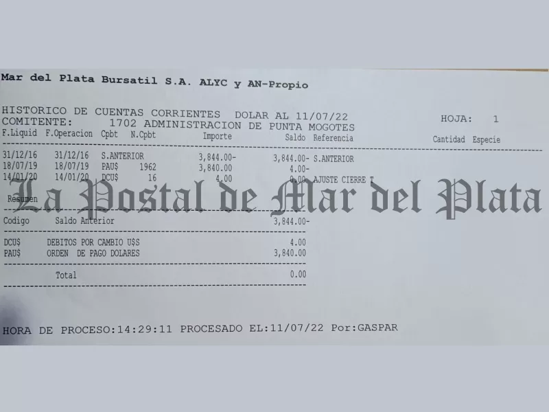 Mar del Plata: se profundiza el caso por