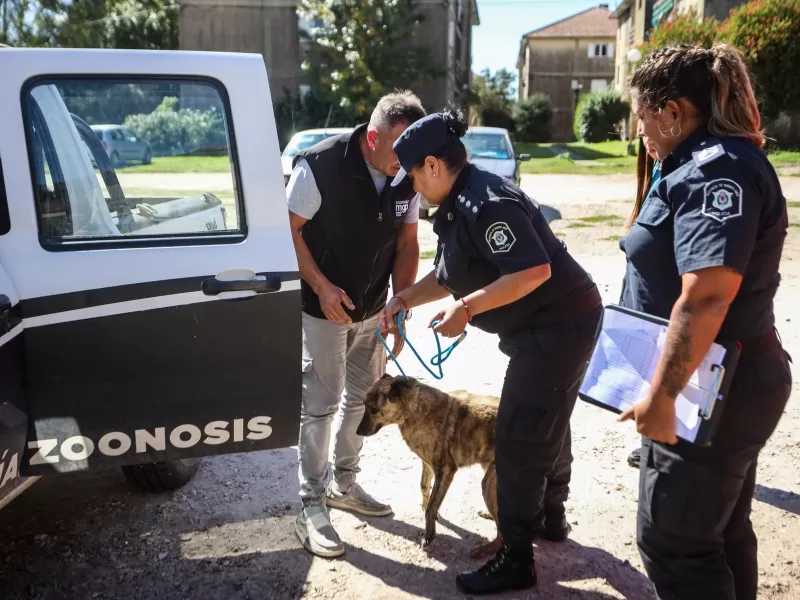 El Municipio rescató 2 mascotas abandonadas en el barrio SOIP de Mar del Plata