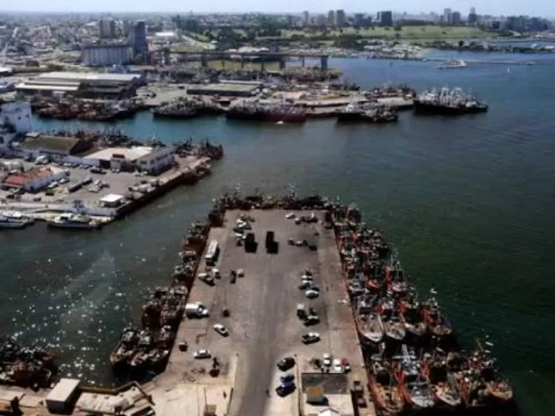 Acusan a organismos p&uacute;blicos de actuar como protecci&oacute;n frente a la contaminaci&oacute;n denunciada en el Puerto