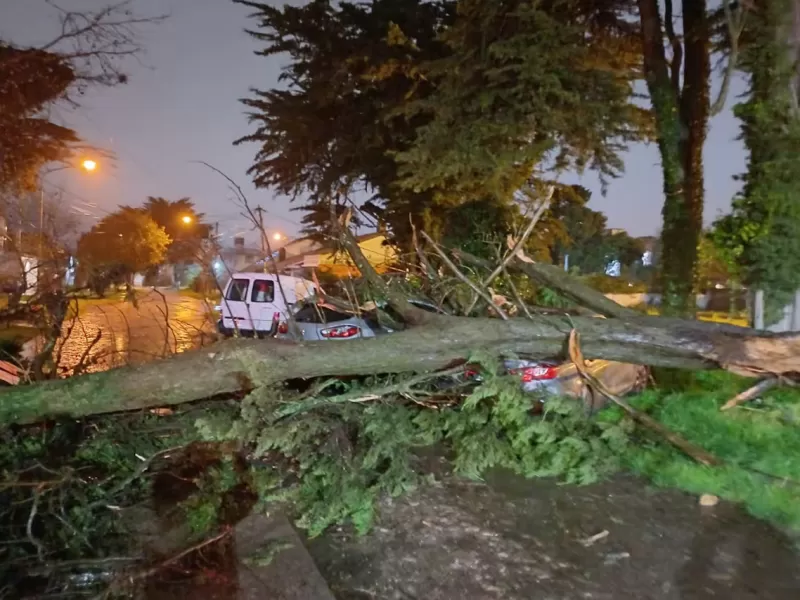 Mar del Plata sufre destrozos tras un fuerte temporal que azotó la ciudad
