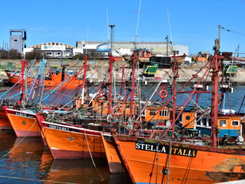 La investigaci&oacute;n sobre harineras en Mar del Plata incorpora an&aacute;lisis de dimetilamina y monometilamina como precursores de nitrosaminas
