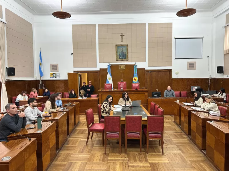 General Pueyrredon: Política de Género, Mujer y Diversidad se juntó en el recinto y pidió por la emergencia por violencia