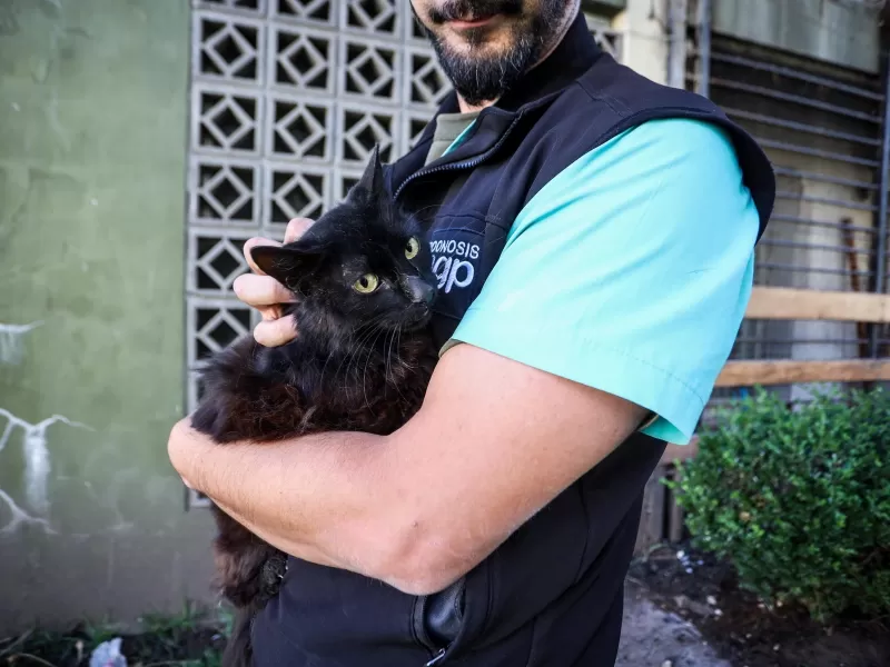 El Municipio rescató 2 mascotas abandonadas en el barrio SOIP de Mar del Plata