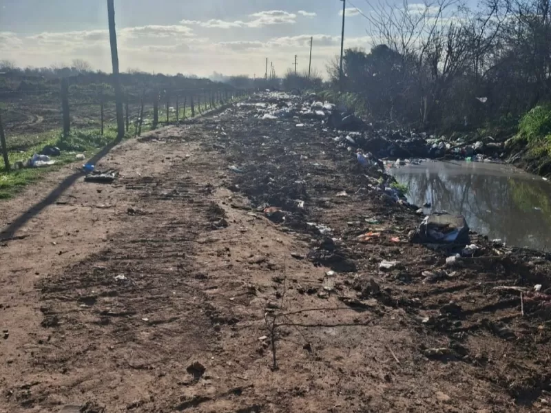 Alerta sanitaria en Moreno: cloacas colapsadas y vecinos de Alem en pie de guerra