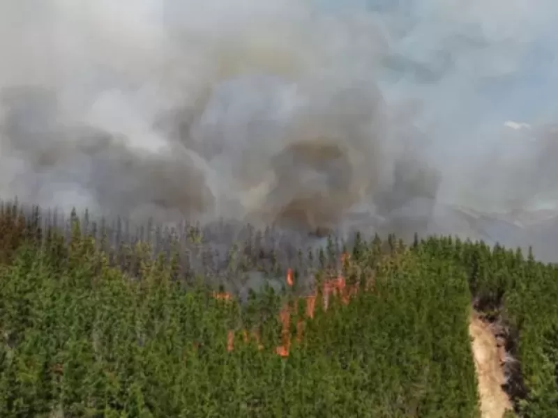 Advierten que la mayor&iacute;a de los incendios podr&iacute;an frenarse antes con detecci&oacute;n temprana