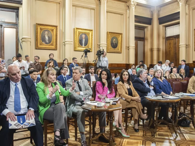La AGN y la Comisión Parlamentaria impulsan auditorías prioritarias en universidades e instituciones claves